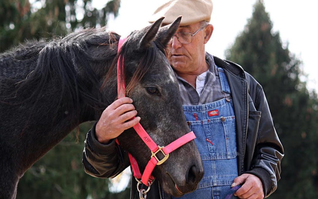 Efficacy of the EAGALA Model in Equine Assisted Therapy