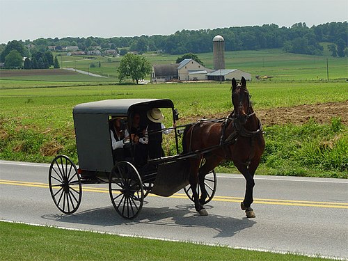 Driven-From Old Order Amish to US Army and Beyond